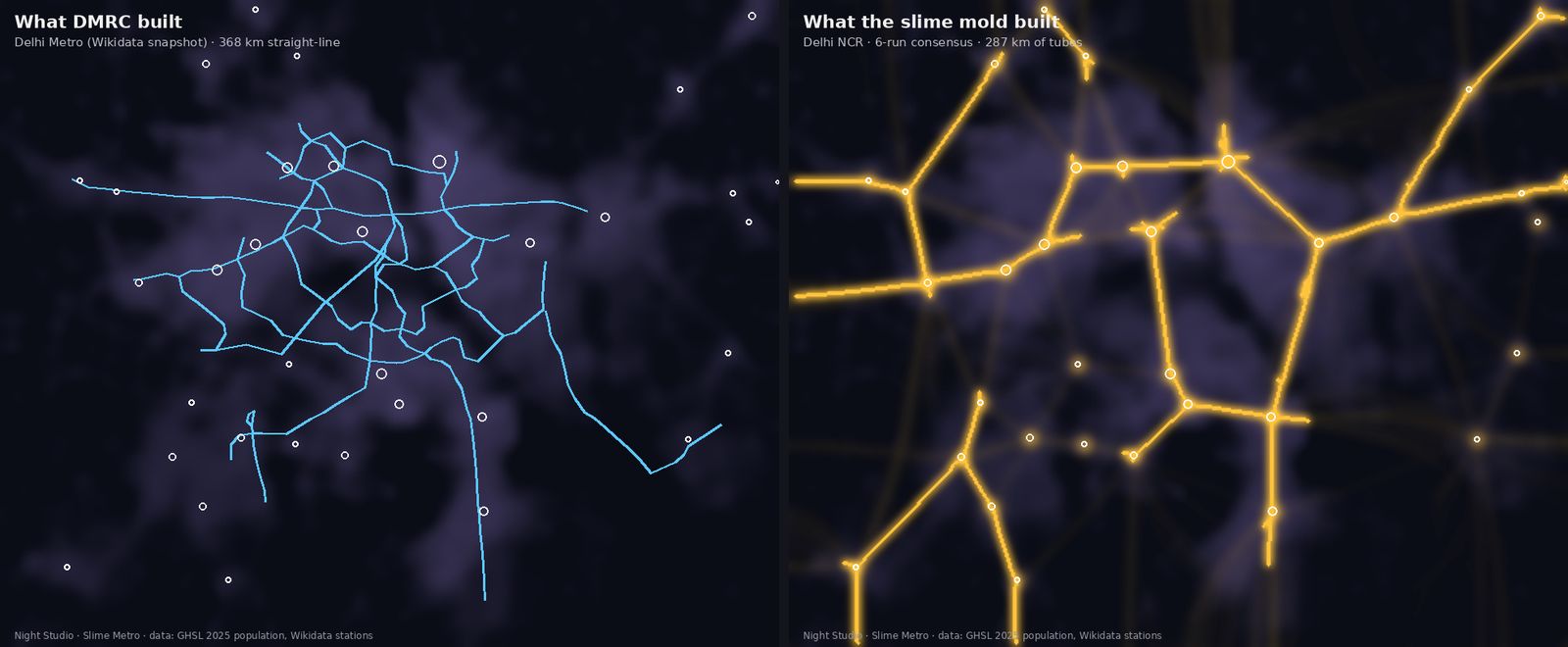 Side by side: the slime mold's network and the real Delhi Metro